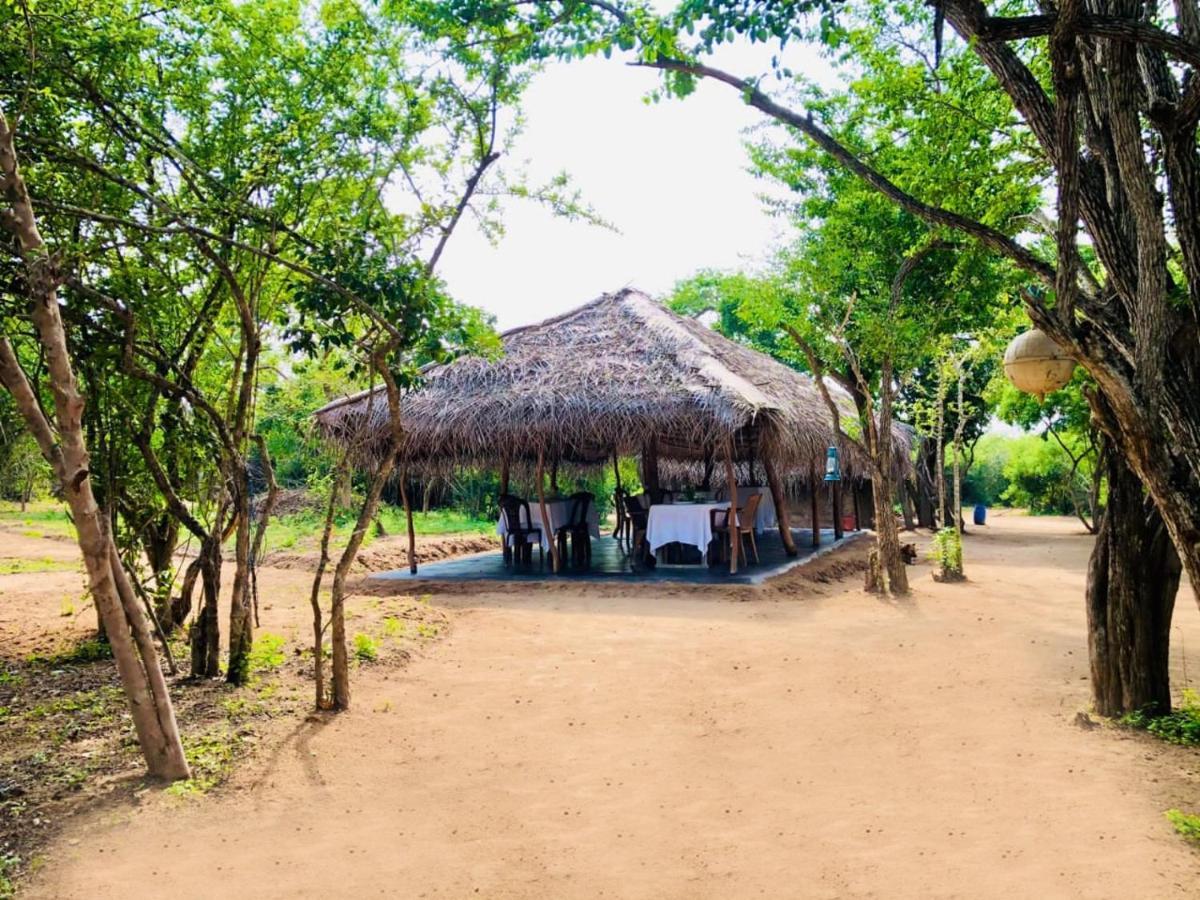 Eden Yala Hotel Esterno foto