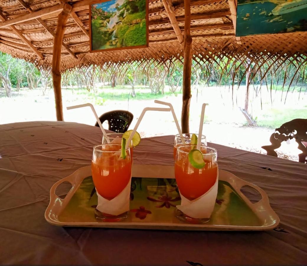 Eden Yala Hotel Esterno foto