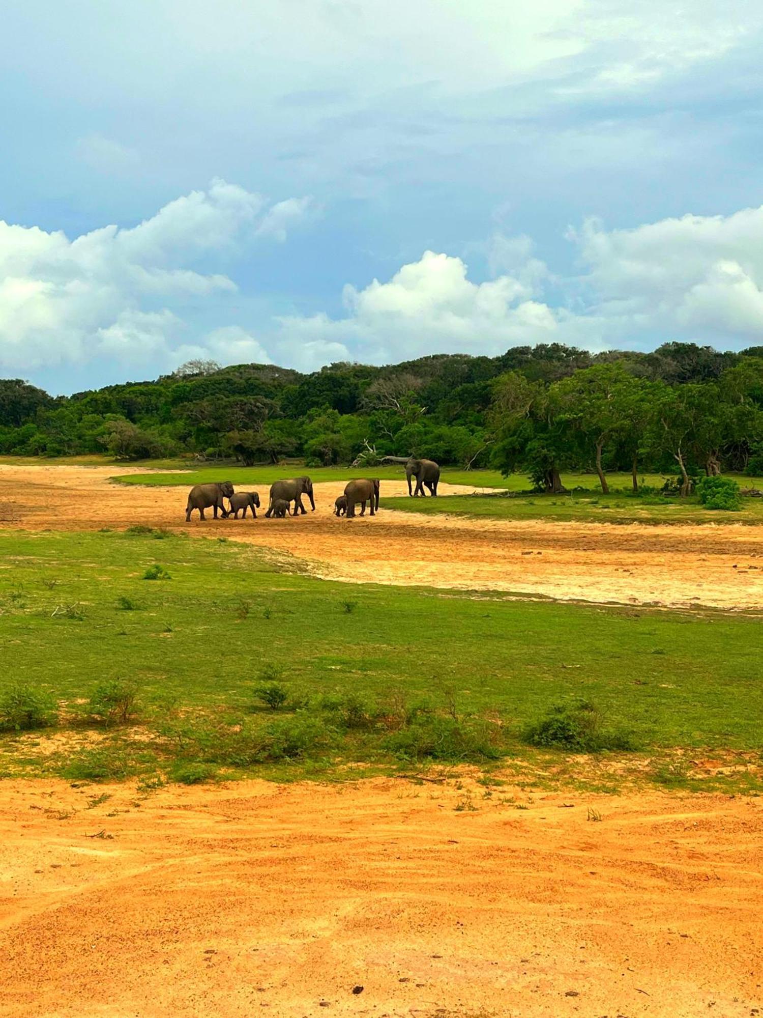 Eden Yala Hotel Esterno foto